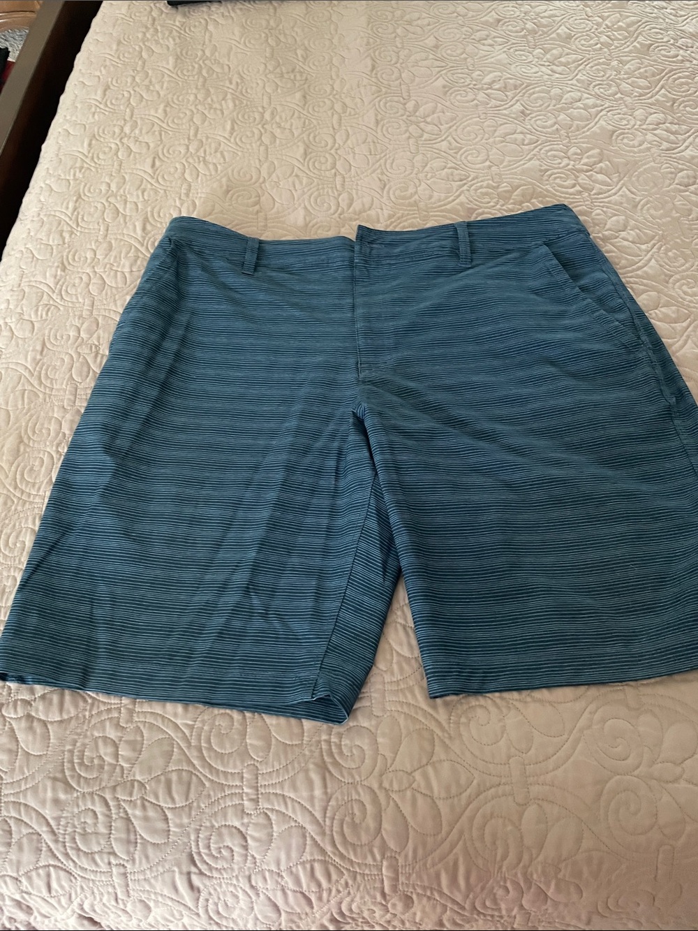 Hang Ten Blue Striped Flat Front Shorts